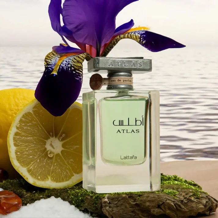 Citrus woody Eau De Parfum spray 55ml UK image