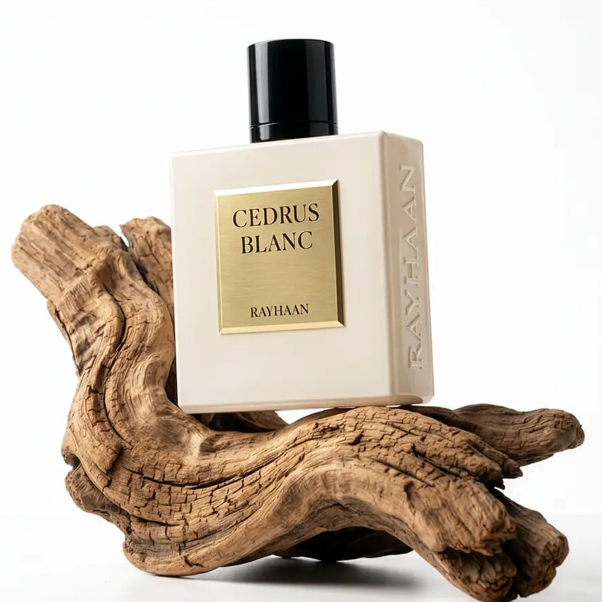 Rayhaan Cedrus Blanc 100ml Eau De Parfum