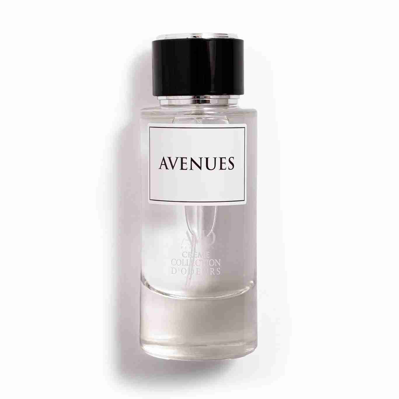 Avenues Eau De Parfum Spray 100ml by Dhamma Perfumes