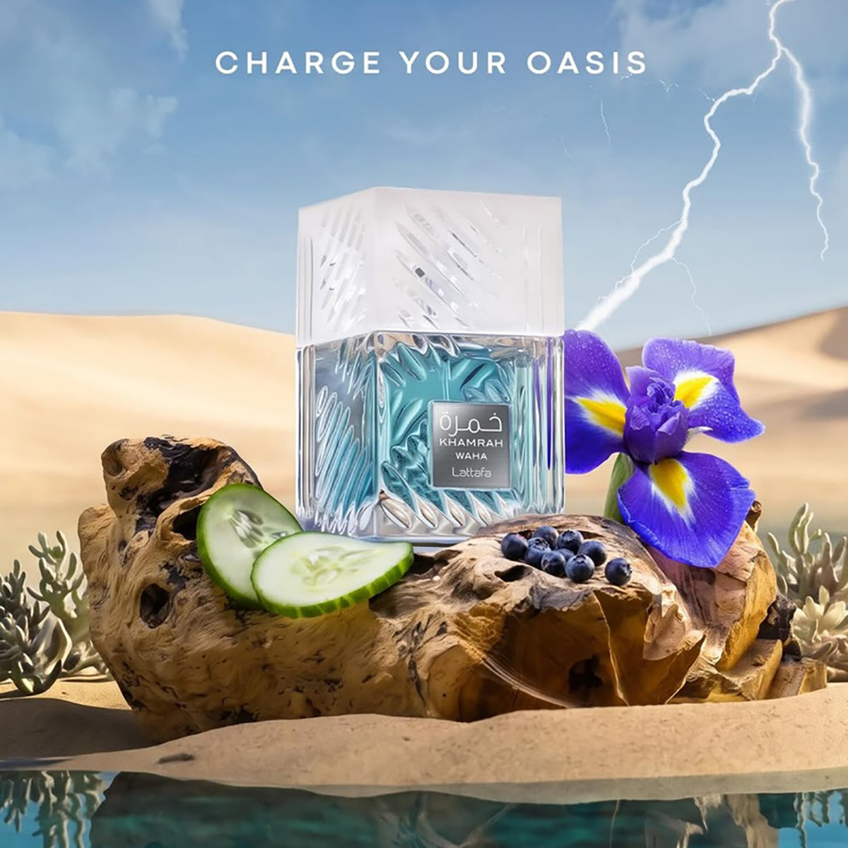 Product packaging with natural elements and text 'Charge Your Oasis' against a desert landscape.