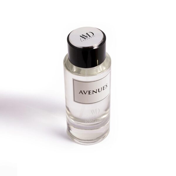 avenues by dhamma 100ml